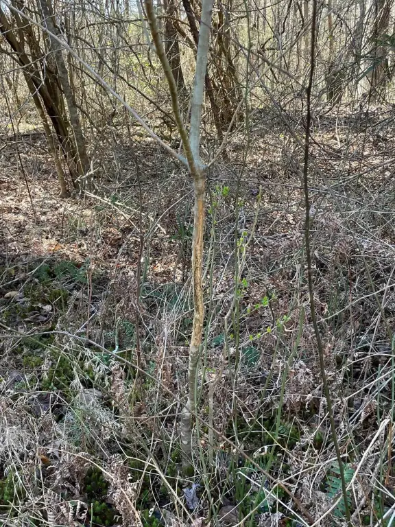 Picture 14