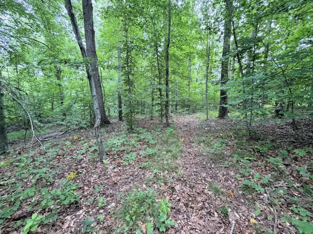 Picture 3
