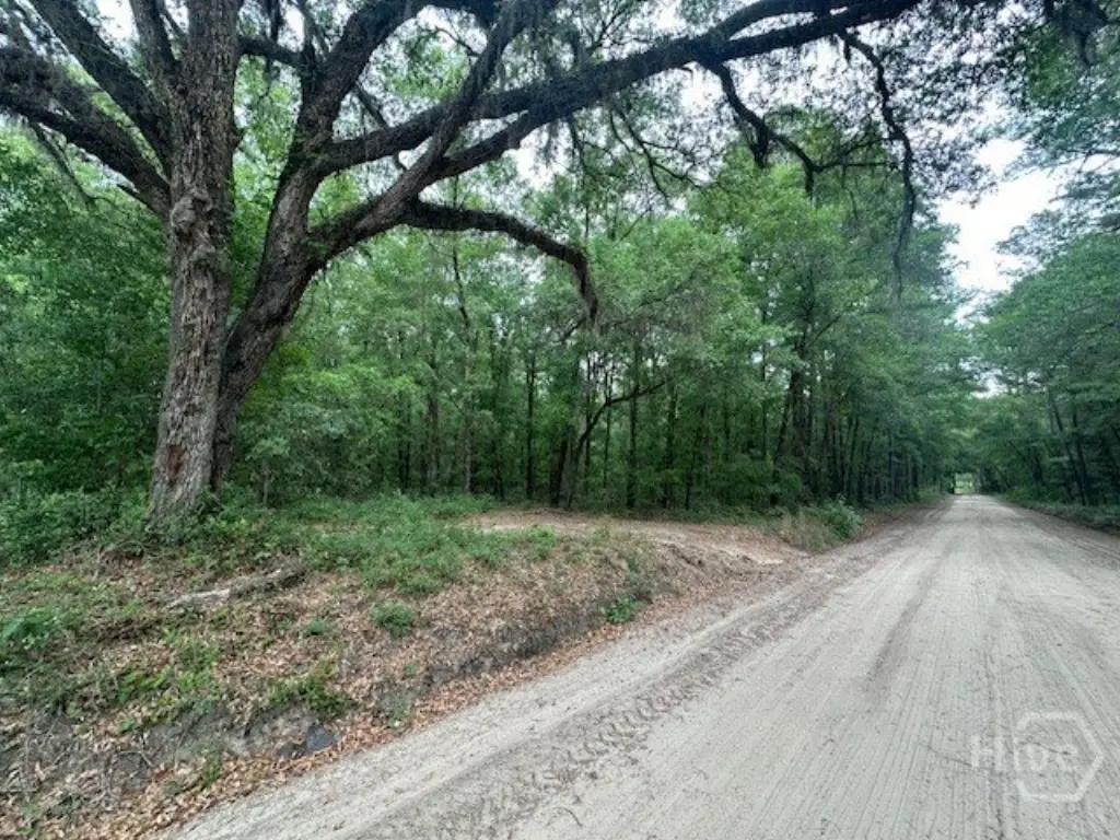 Picture 8
