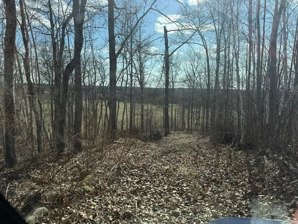 Picture 12