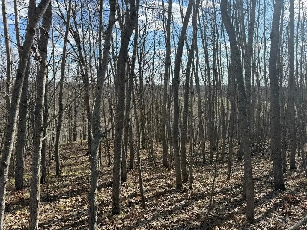 Picture 15