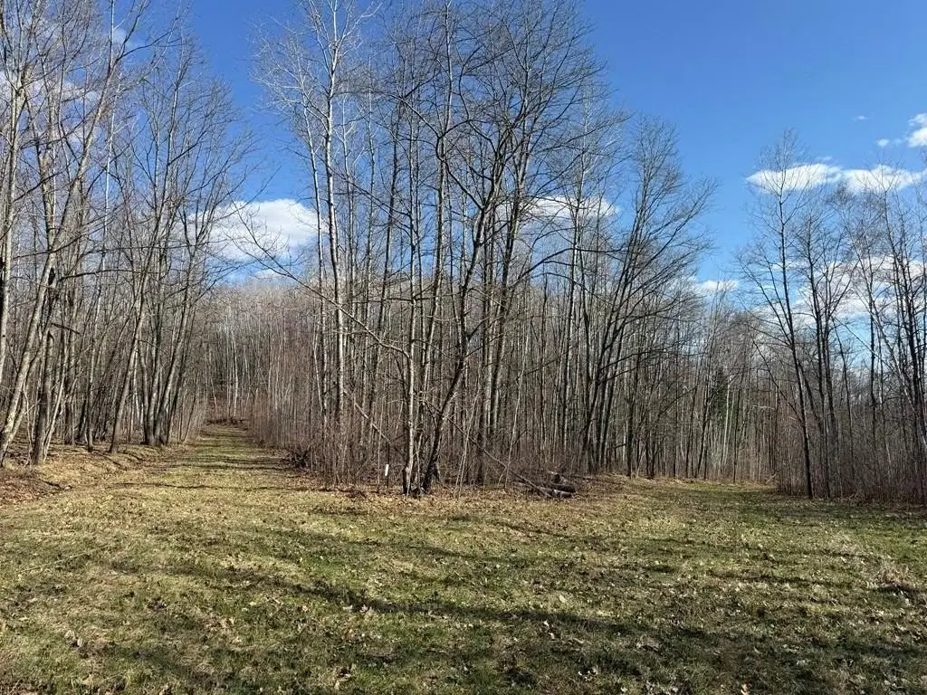 Picture 25