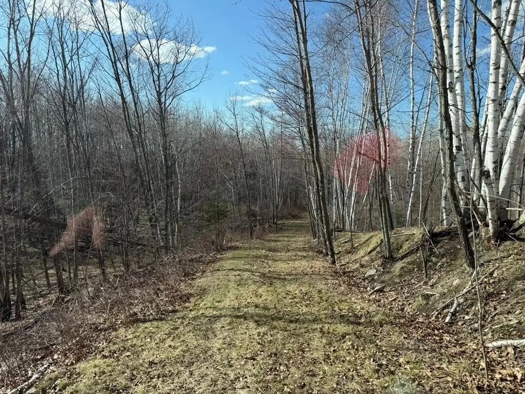 Picture 22