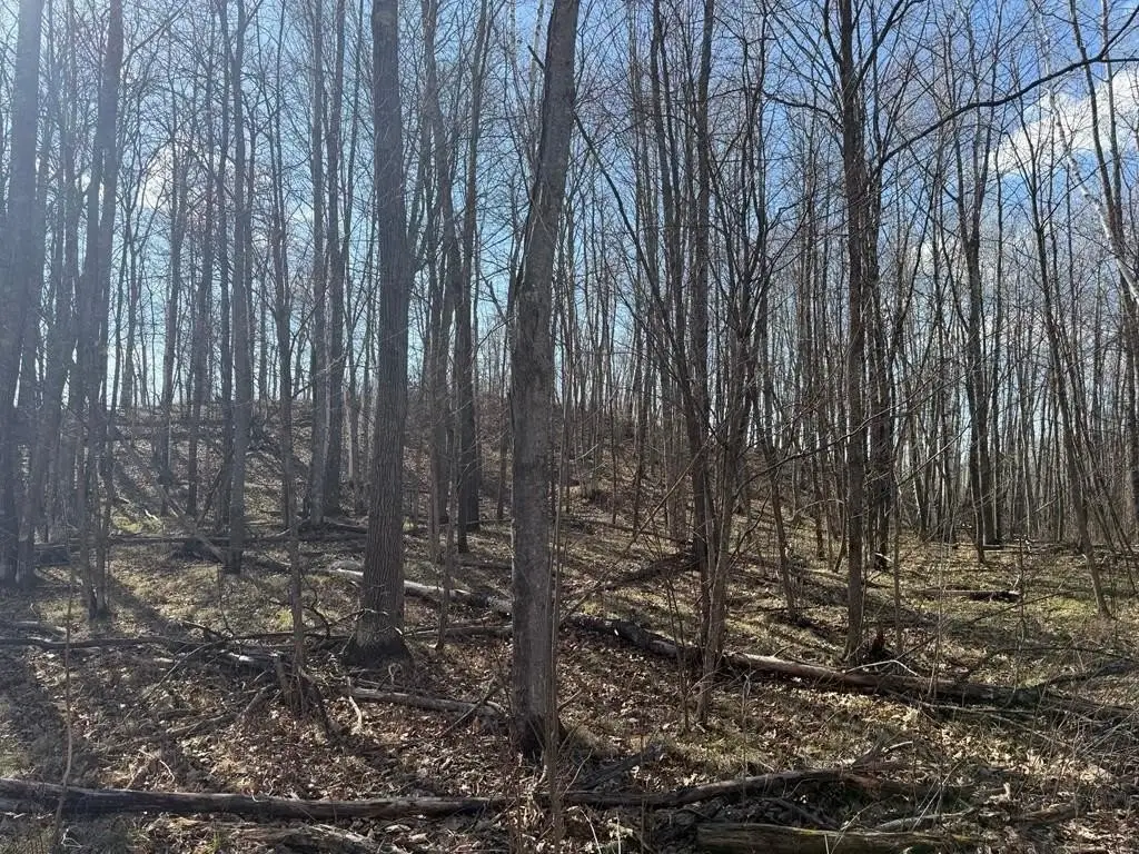 Picture 13