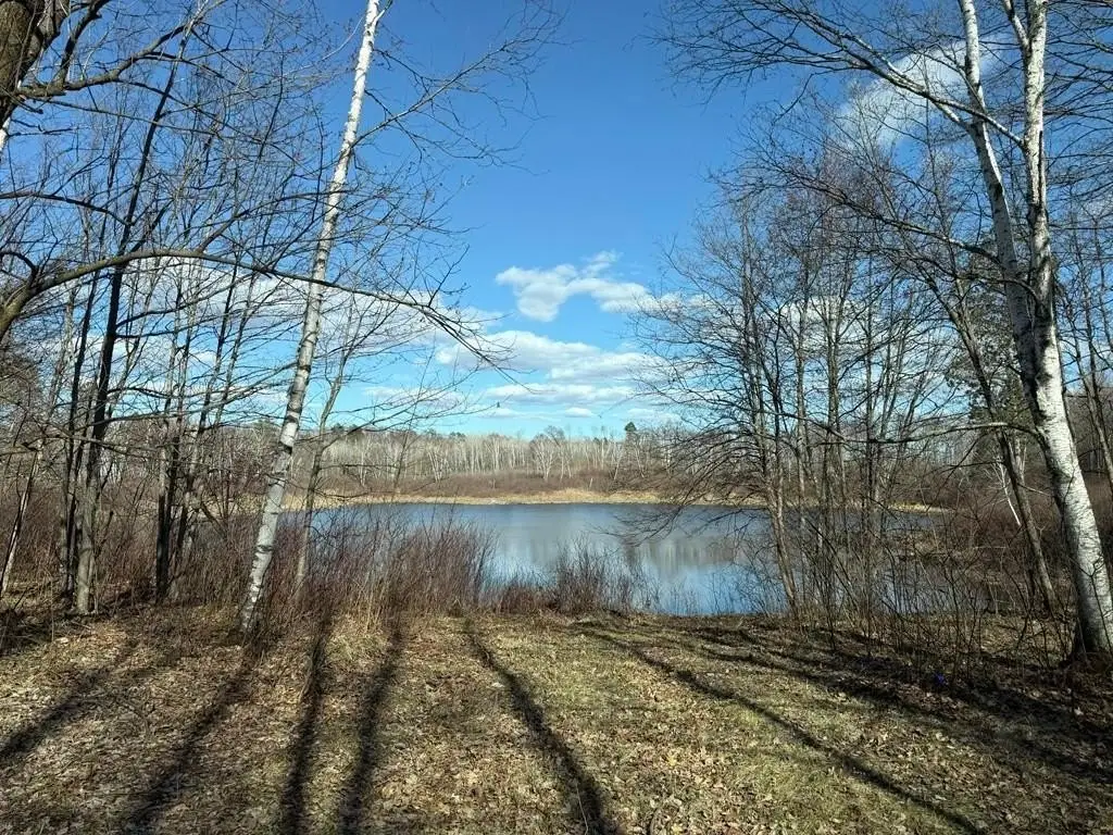 Picture 24