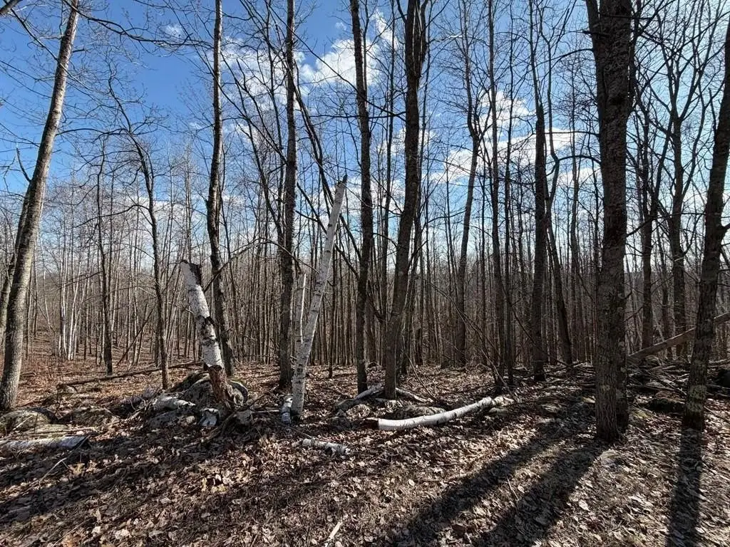 Picture 16