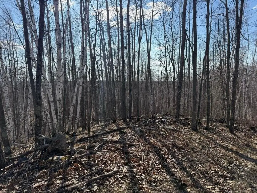 Picture 21