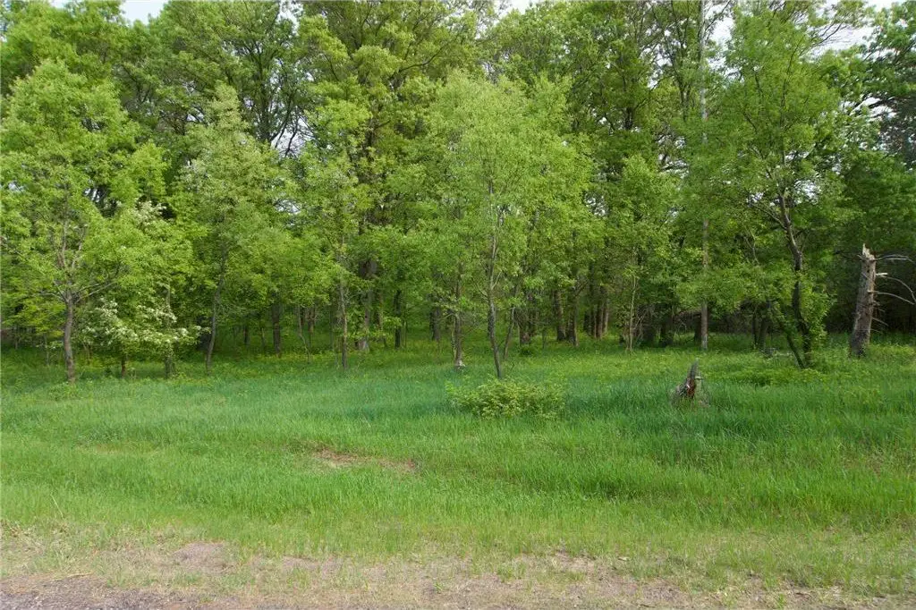 Picture 8