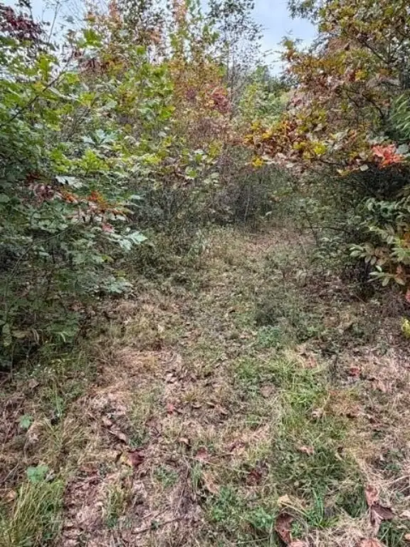 Picture 27