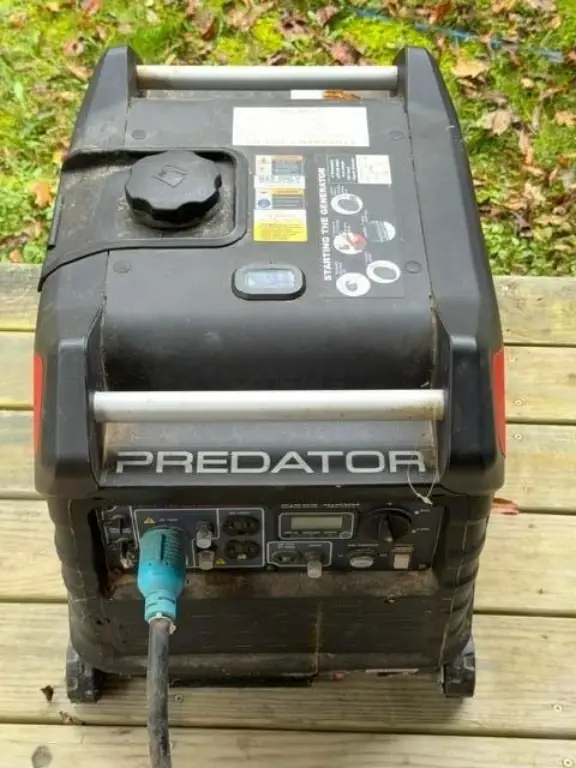 Picture 11