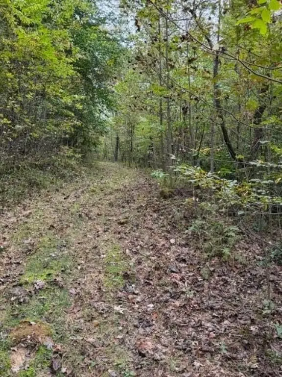 Picture 23