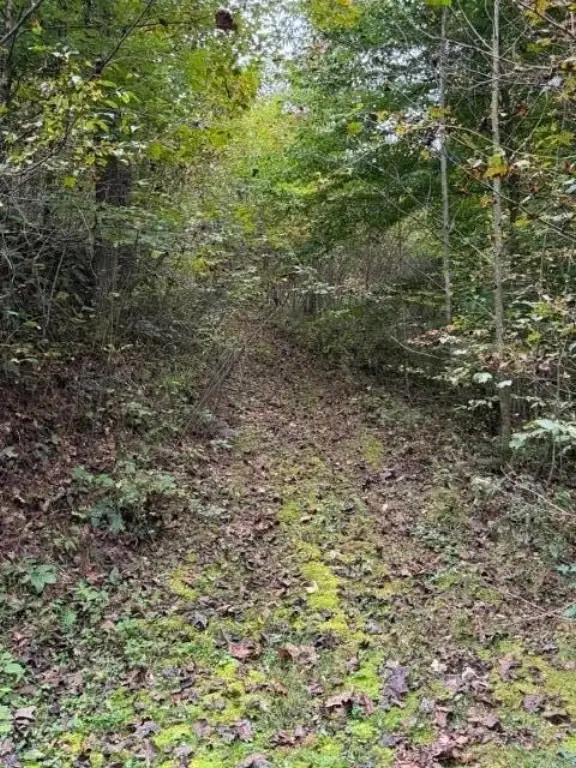 Picture 25