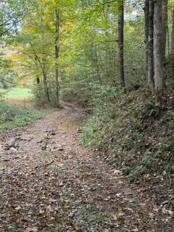 Picture 16