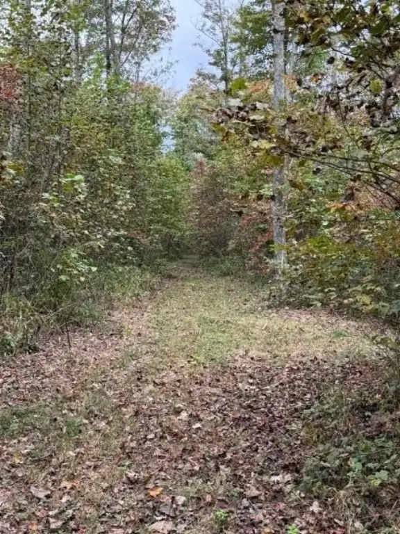 Picture 36