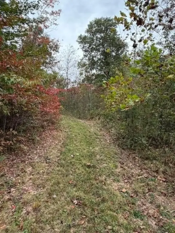 Picture 26