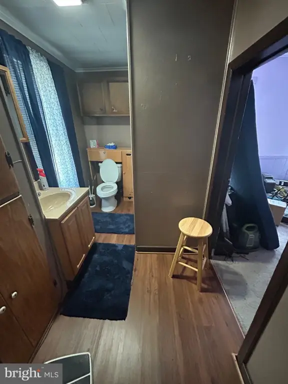 Picture 33