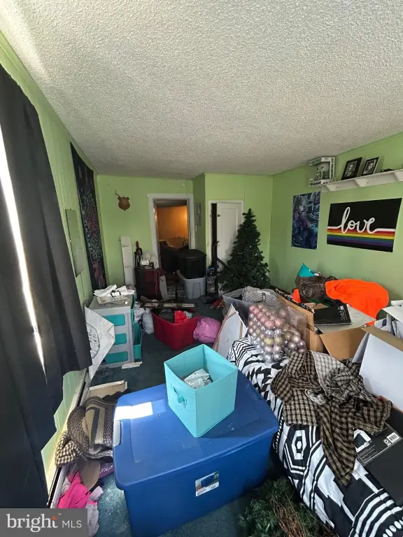 Picture 16