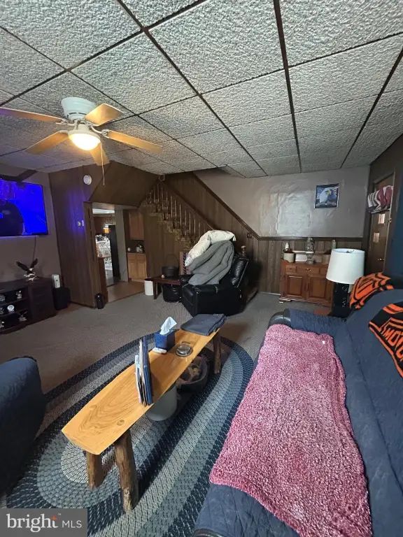 Picture 41