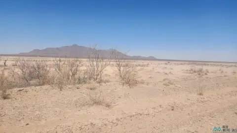 319 Acres High Desert Property