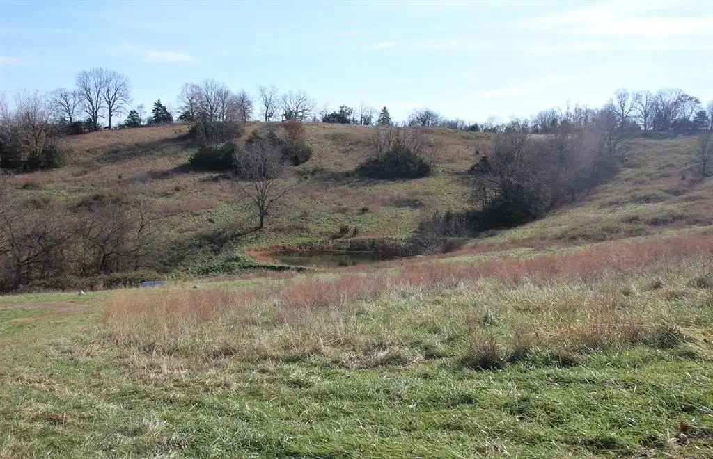 Picture 10