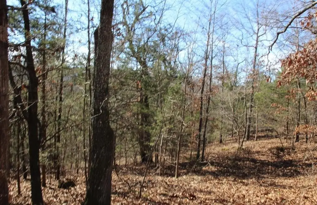 Picture 35