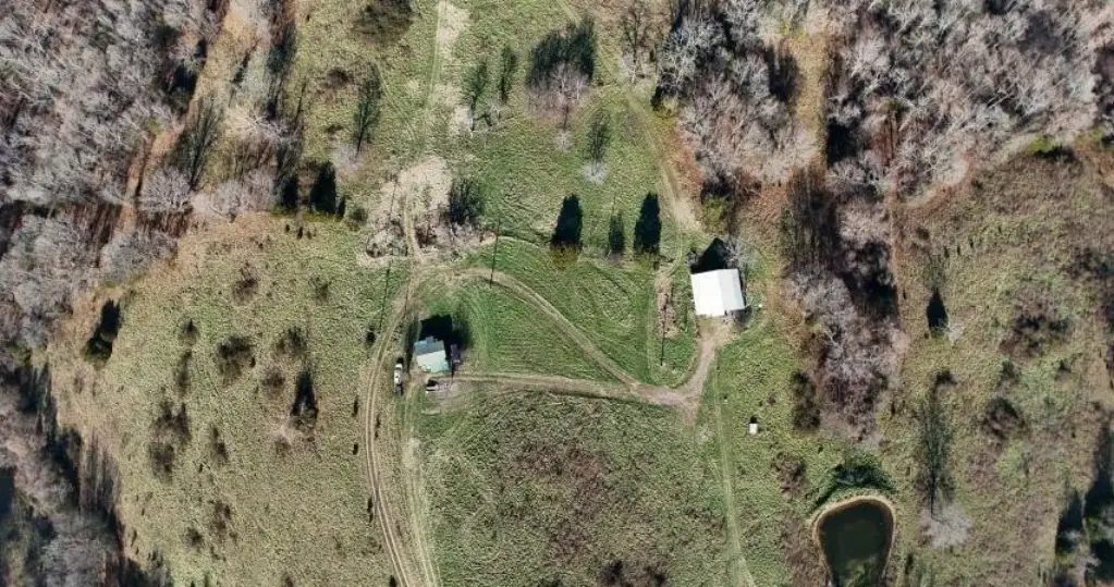 Picture 2
