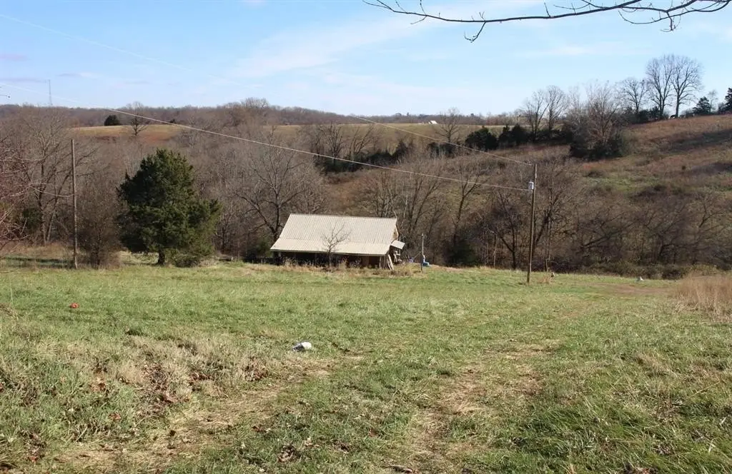 Picture 14