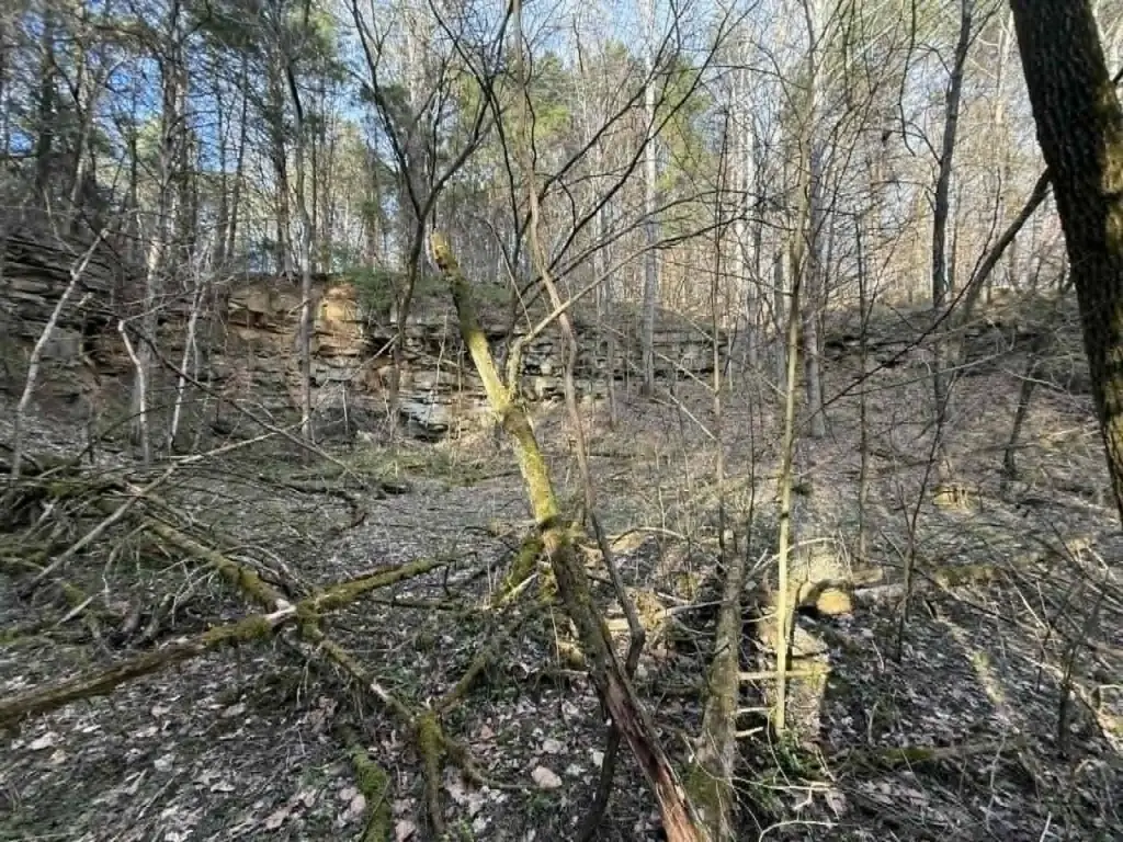 Picture 24