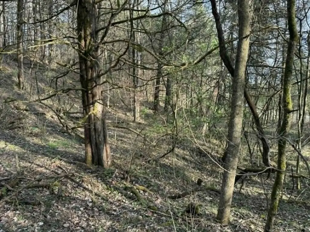 Picture 18