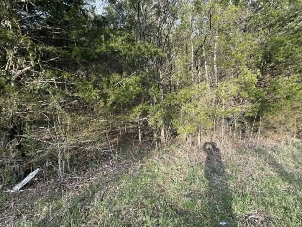 Picture 7