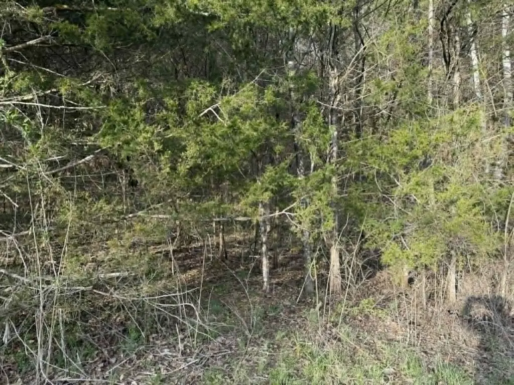 Picture 6