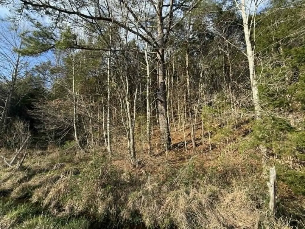 Picture 3