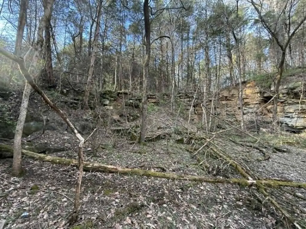 Picture 23