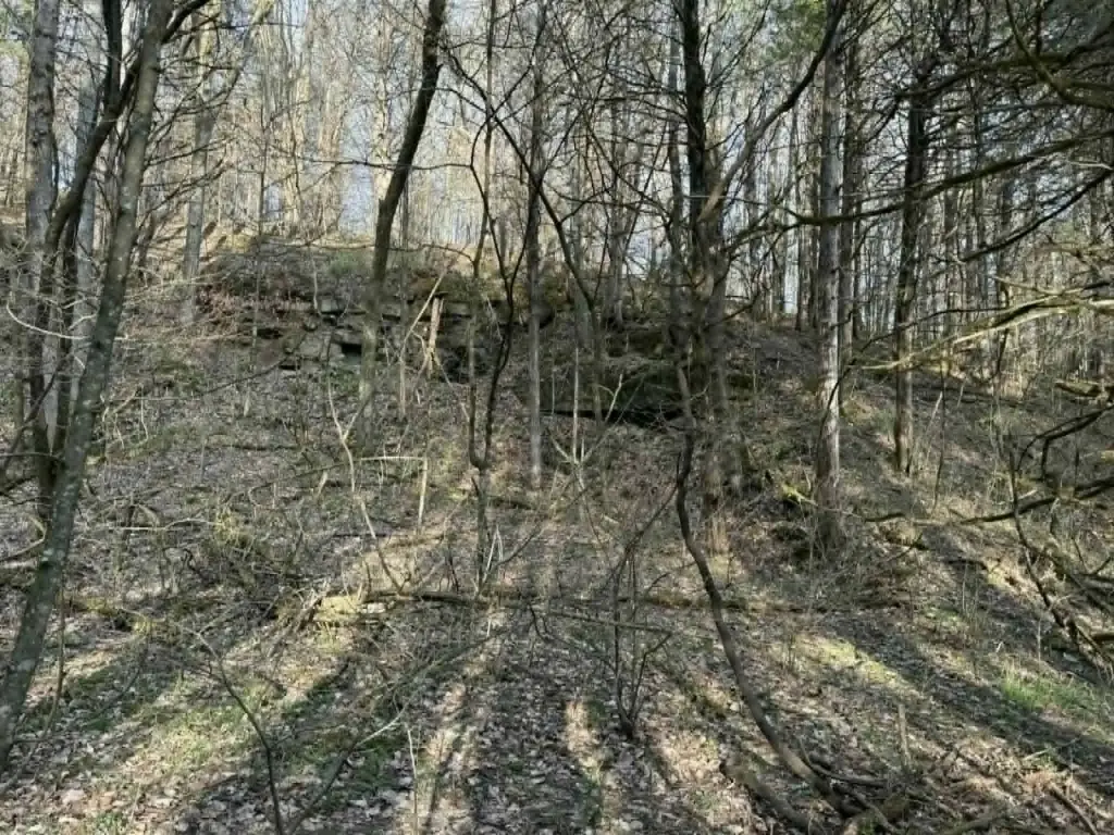 Picture 17