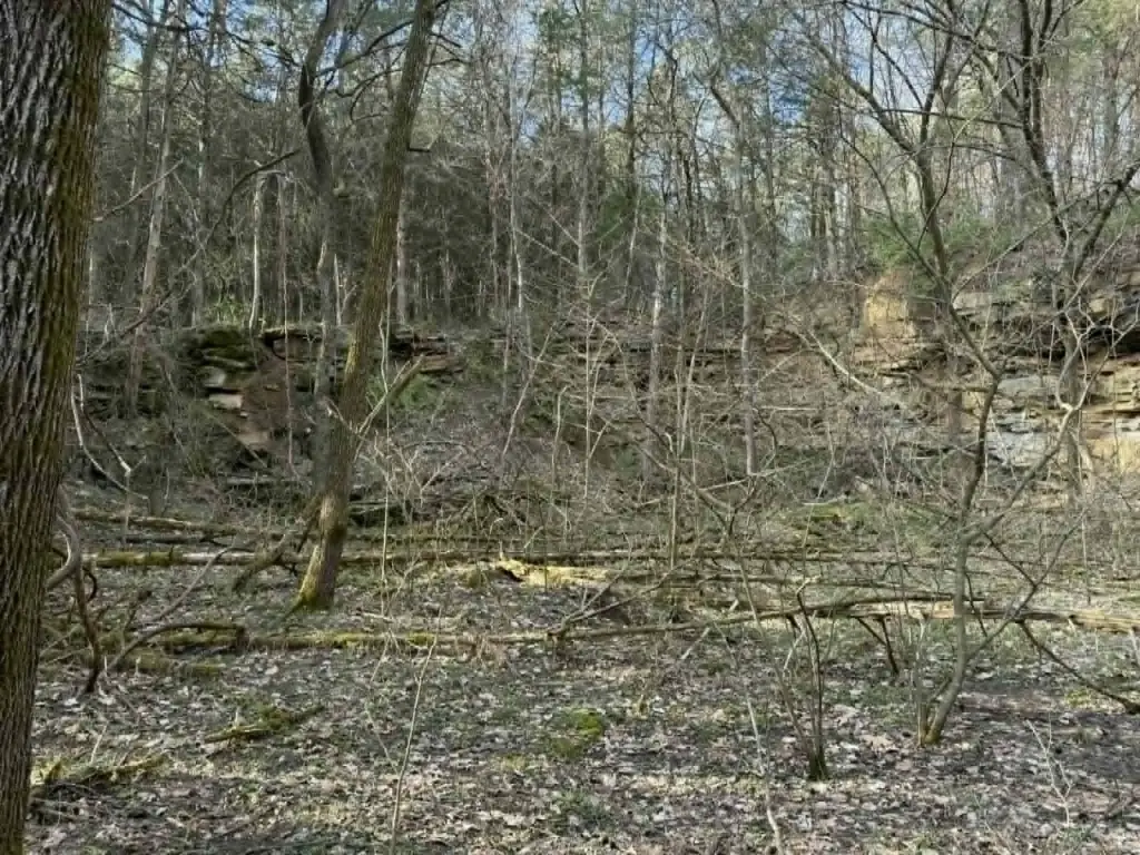 Picture 15