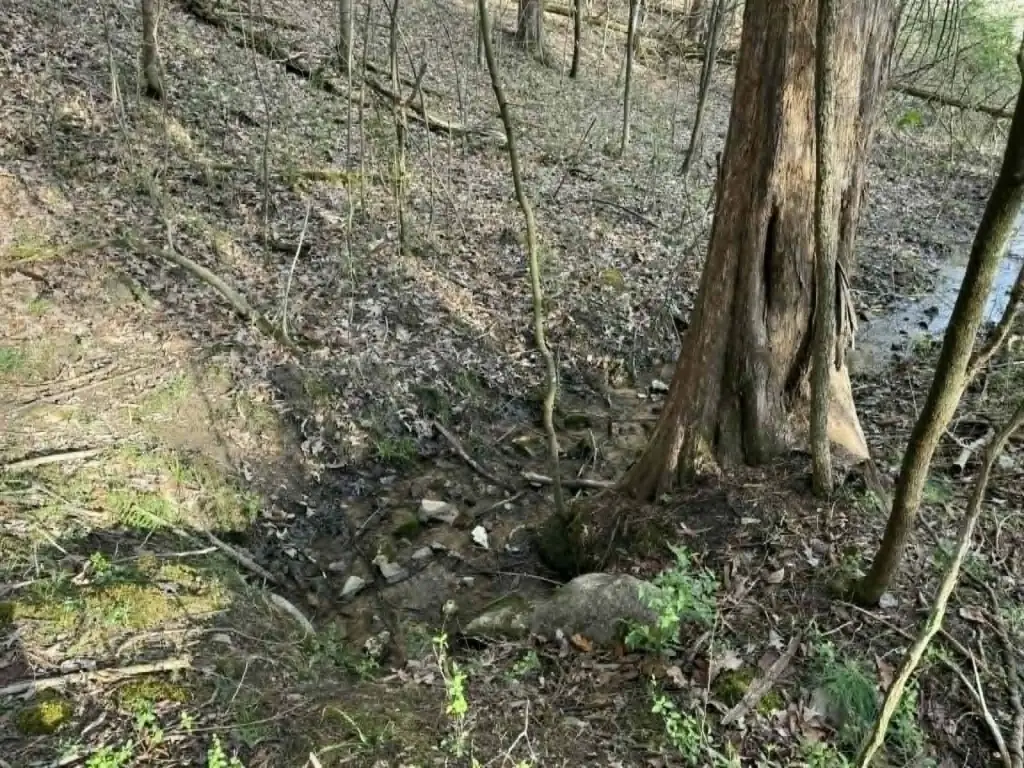 Picture 12