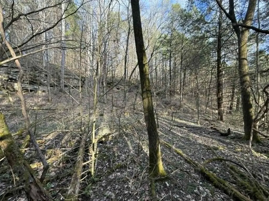 Picture 25