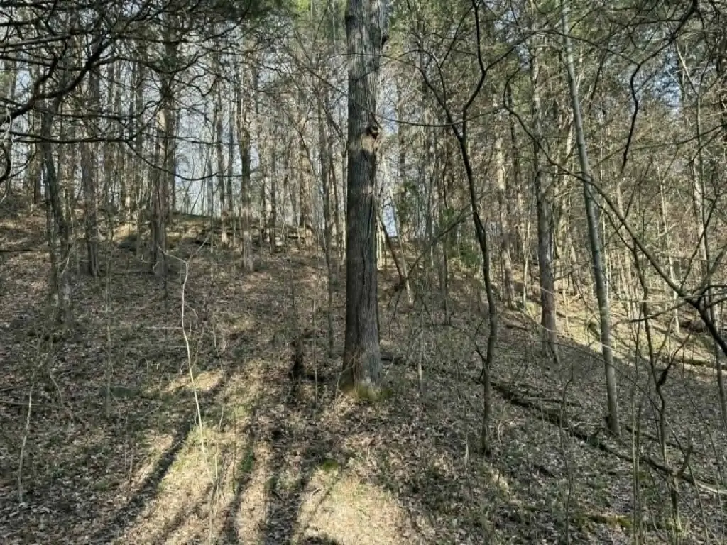 Picture 9