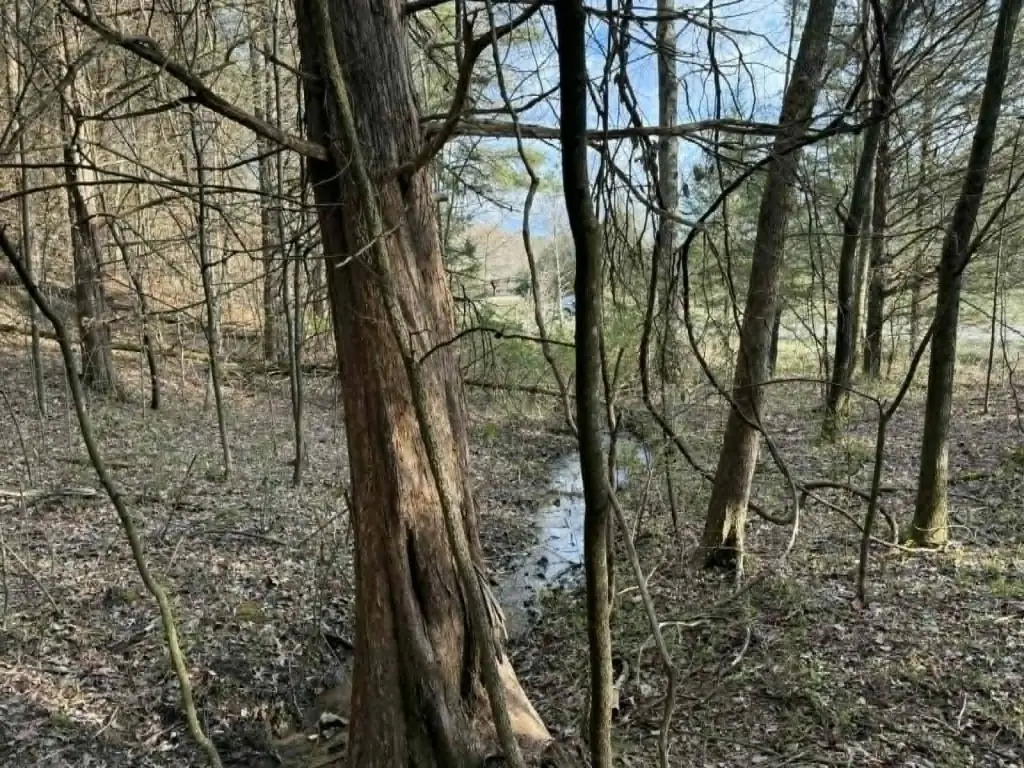 Picture 11