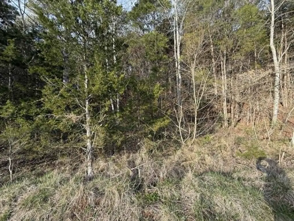 Picture 5
