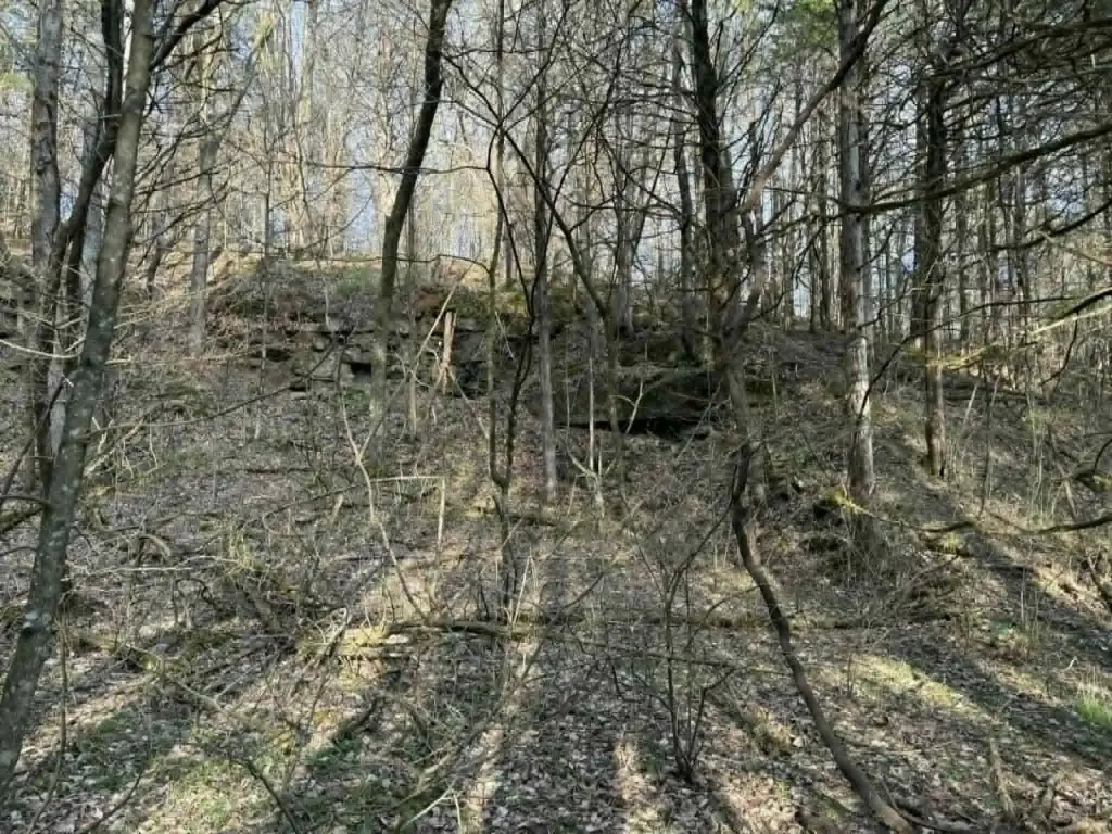 Picture 14