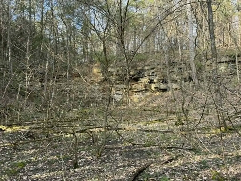 Picture 16
