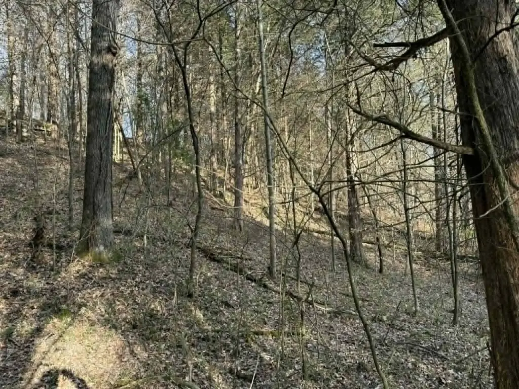 Picture 10