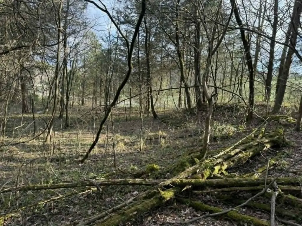 Picture 22