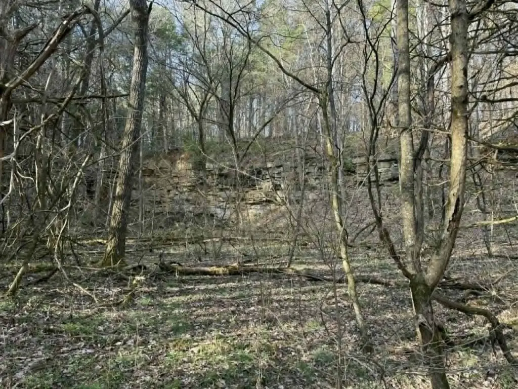 Picture 13