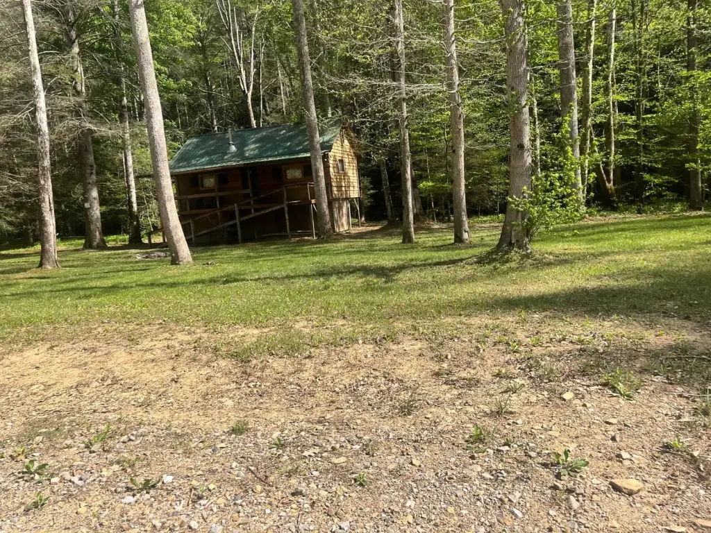 Picture 20