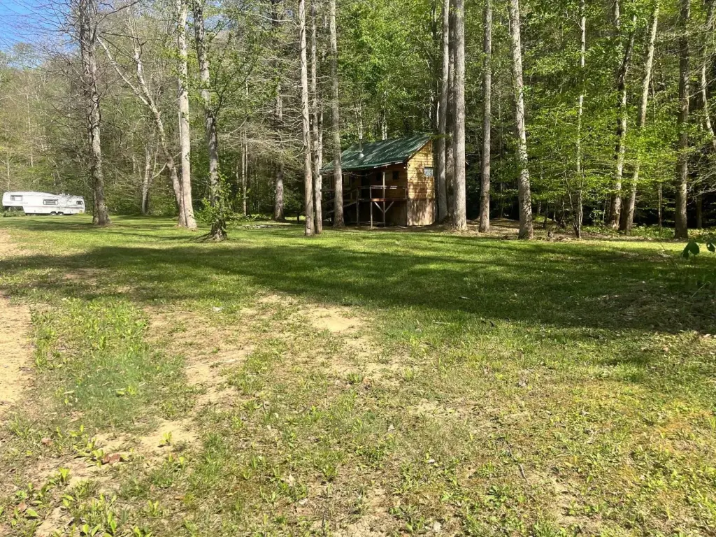 Picture 21