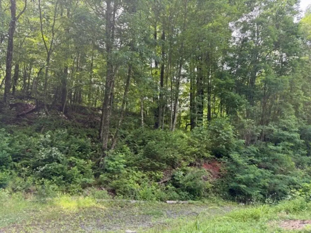 Picture 18