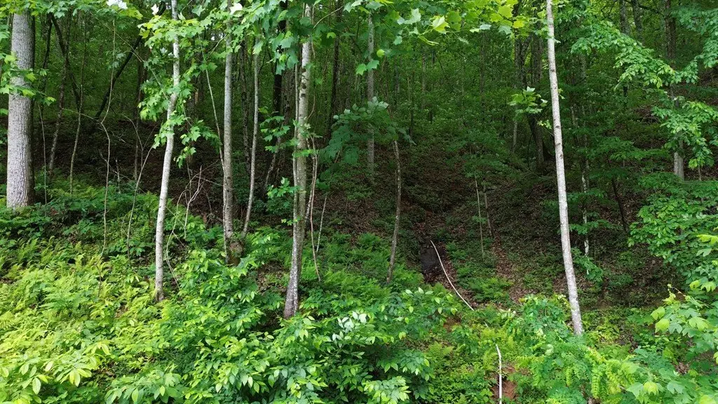 Picture 5