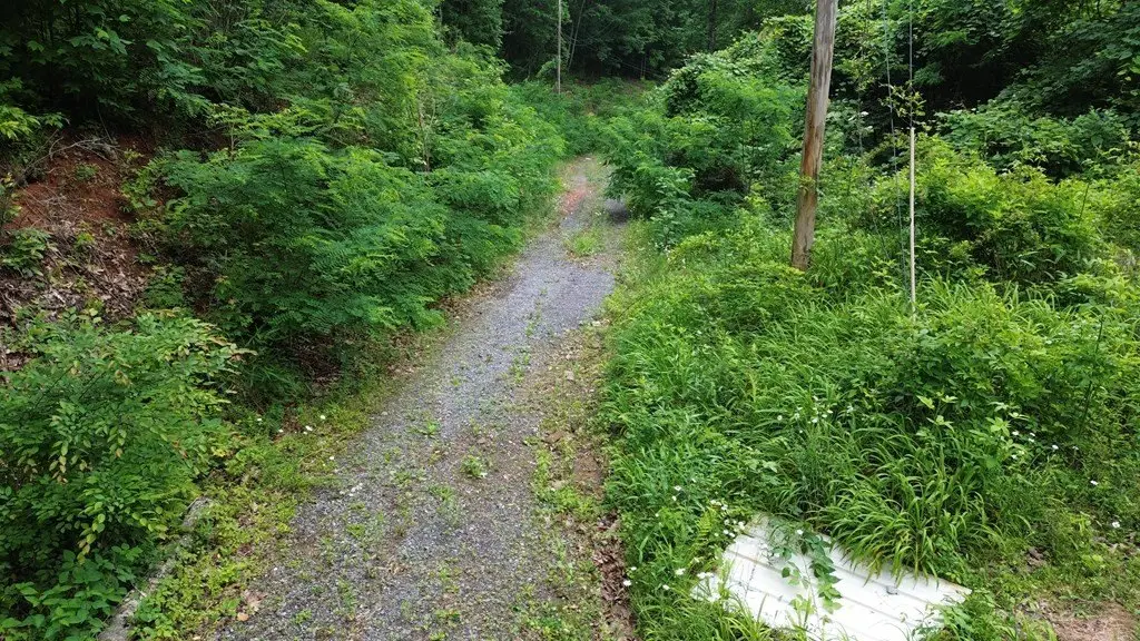 Picture 3